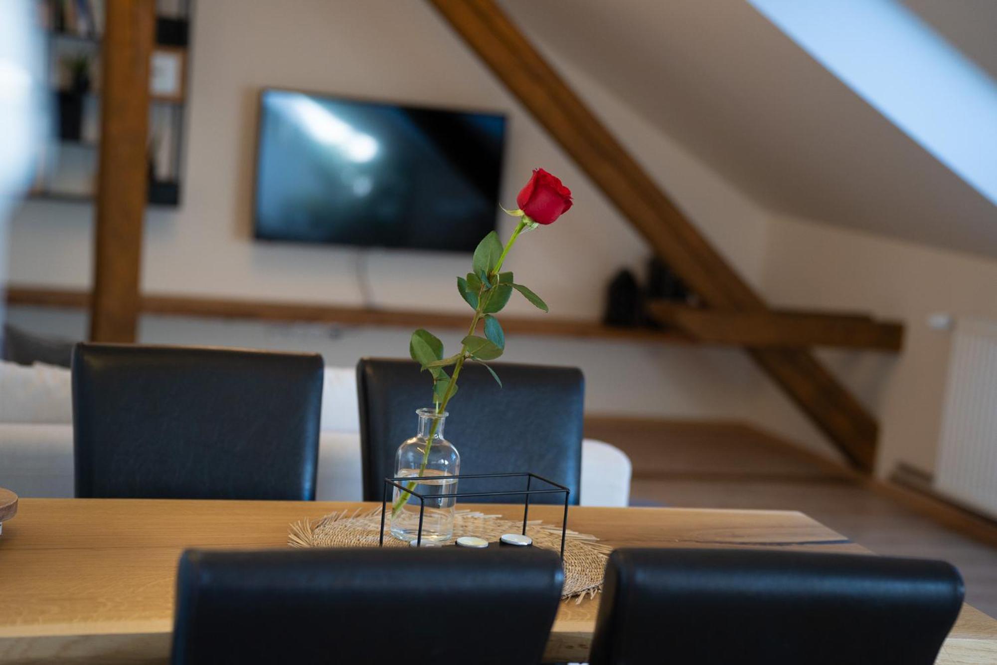 Apartmany & Wellness Revenite Jeseník Dış mekan fotoğraf