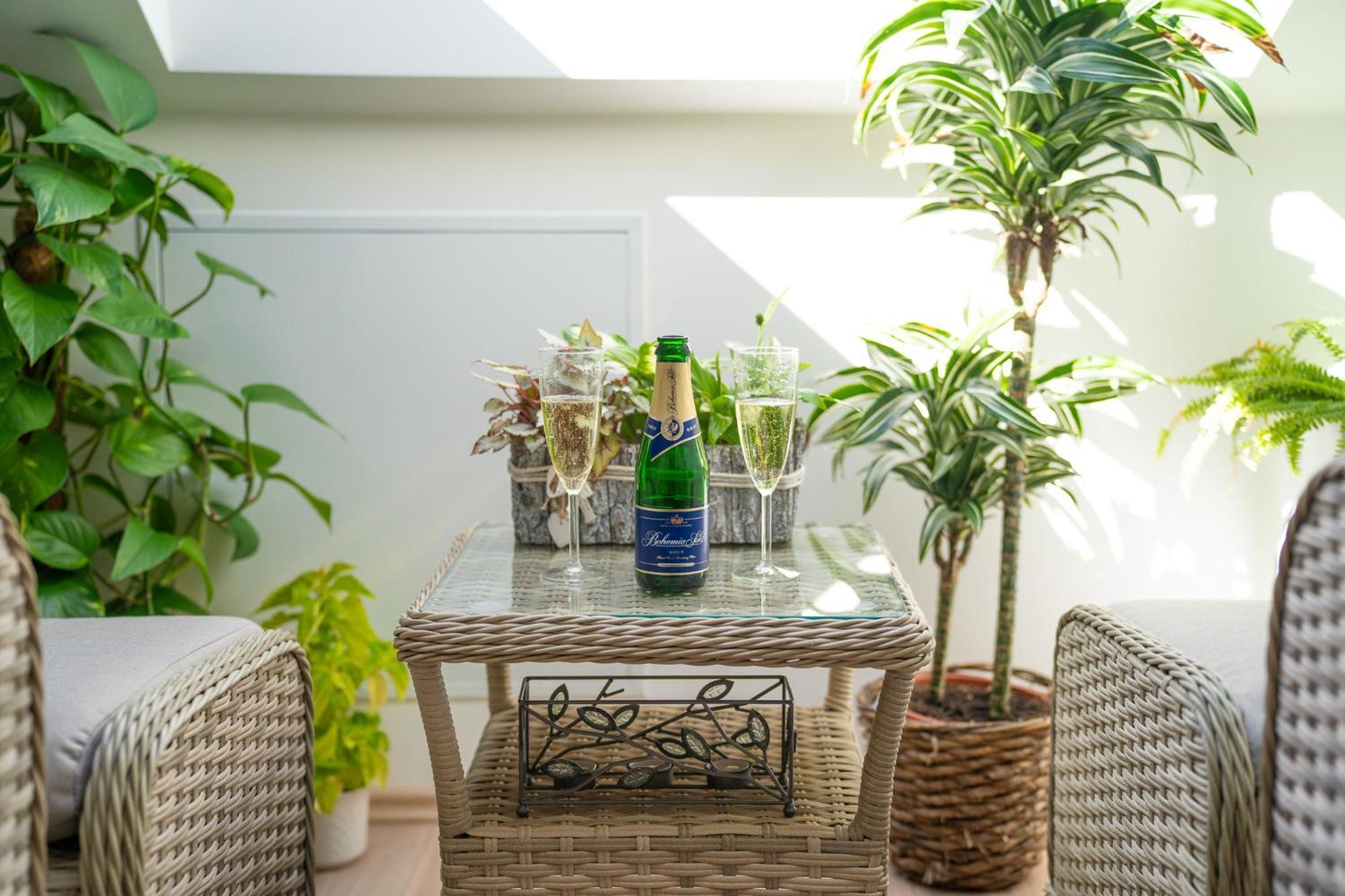 Apartmany & Wellness Revenite Jeseník Dış mekan fotoğraf